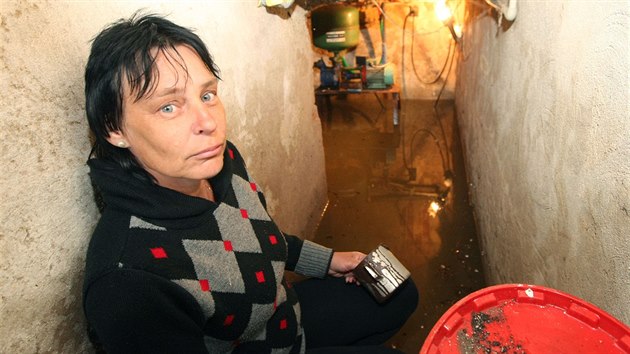 V Psen na Jesenicku hasii oderpvali vodu napklad ze sklepa Aleny Ciskov. (29. kvtna 2014)