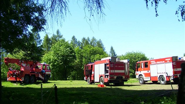 Hasii V Pibyslavi vyproovali kon uvzlho mezi dvma kmeny stromu. Poradili si s pomoc soustavy lan a kladek.