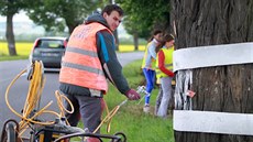 Malí dobrovolníci. Na lípy u silnice mezi Uherským Ostrohem a Moravským Pískem...