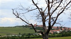 Jihomoravská obec roku - Vrbice na Beclavsku.