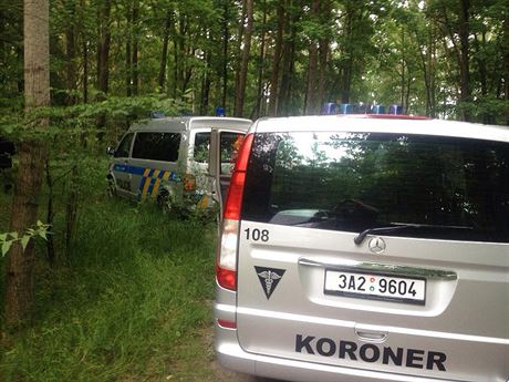 Policie vyetuje od soboty nález ohoelého tla v klánovickém lese (14. ervna...