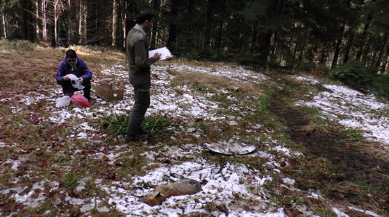 Ochránci pírody pi etení nálezu zvíat otrávených nebezpeným jedem.