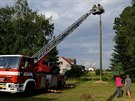 Záchrana apích mláat v esticích na Rychnovsku. (17. 6. 2014)