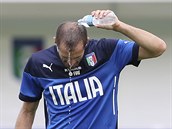 Italsk obrnce Giorgio Chiellini se osvuje bhem trninku.