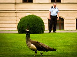 Zahrada u Úadu vlády je zapsána v mezinárodním seznamu památek UNESCO.