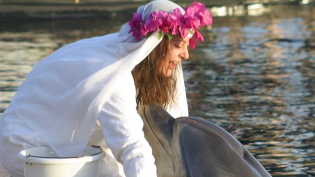 Prvn svatba mezi lovkem a delfnem. Jednatyicetilet britsk milionka Sharon Tendlerov si vzala devtaticetiletho delfna Cindyho.