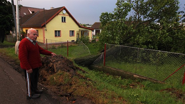 Hasii odstraovali na Vysoin kvli boukm nkolik vyvrcench strom. (11. ervna 2014)