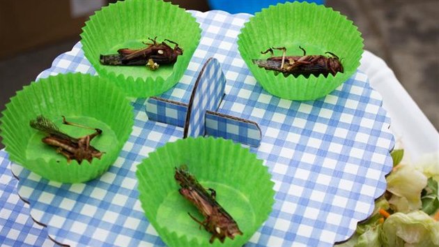 Servírují se i kobylky v trojbalu (Ilustrační foto z loňského ročníku festivalu Věda prochází žaludkem)