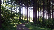 Rozmanitost a obtí�nost trail� je �iroká a ka�dý si vybere, za�áte�níky