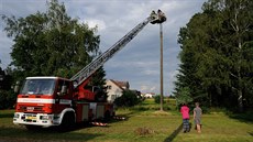 Záchrana �apích mlá�at v �esticích na Rychnovsku. (17. 6. 2014)