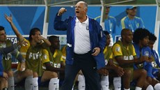 Brazilský trenér Luiz Felipe Scolari se raduje b�hem utkání proti Chorvatsku.