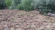 Léta ope�ovávaná plá� po nedávném zákroku majitele pozemku.