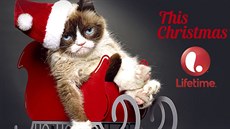 Televize zve na vánoní film s kokou Grumpy