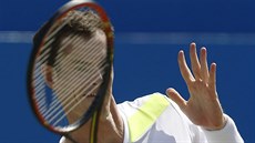 Andy Murray na turnaji v Londýn