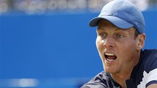 Tomá� Berdych na turnaji v londýnském Queen´s Clubu