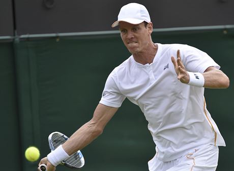 Tom Berdych se v prvnm kole Wimbledonu sna dostat pod tlak Rumuna Hanesca.