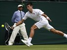 Novak Djokovi dobh mek v prvnm kole Wimbledonu.