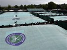 PLACHTY. Ve Wimbledonu pi deti tradin zatahují nad travnatými kurty zelené...