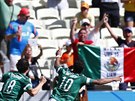 Mexický útoník Giovani Dos Santos (. 10)slaví gól proti Nizozemku v...