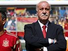 KRITIZOVANÝ TRENÉR. Lodivod panl Vicente Del Bosque ped utkáním proti...