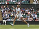 KAM TO PJDE? Petra Kvitová se soustedí na forhend v zápase s Venus...