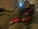 Speleologie, jesky�á�i, zran�ní, záchrana, úraz, cvi�ení.