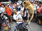 Prodava, který na jü-linském festivalu psího masa údajn nakonec prodal týrané...