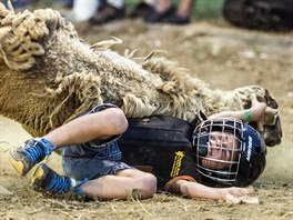 týden obrazem fotografie