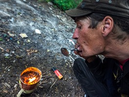 Mák, opium, makové mléko, morfium, morfin, kodein, faák, narkoman,...