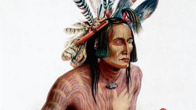 Z knihy Djiny tetovn: Indini Severn Ameriky se nejen malovali, ale i trvale znaili.