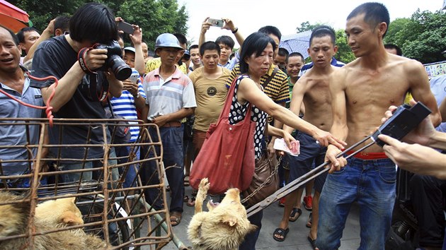Ochrnkyn zvat se sna zabrnit trn psa nabzenho na j-linskm festivalu. Aktivist zvata vykupuj (na, 20. ervna 2014).