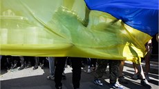 Provládní demonstrace v Kyjevě (22. června 2014)