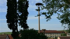 V Hodicích na Jihlavsku mají nyní dv� �apí hnízda, ale �ádného �ápa. Na zadním...
