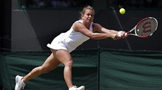 DOSÁHNU TAM. Barbora Záhlavová-Strýcová se natahuje po mí�ku v zápase s...