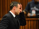Oscar Pistorius se po msíci vrátil k soudu v jihoafrické Pretorii (30. ervna...