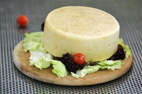Bochník ovího sýra Arnika z produkce sýrárny Horského statku Abertamy.