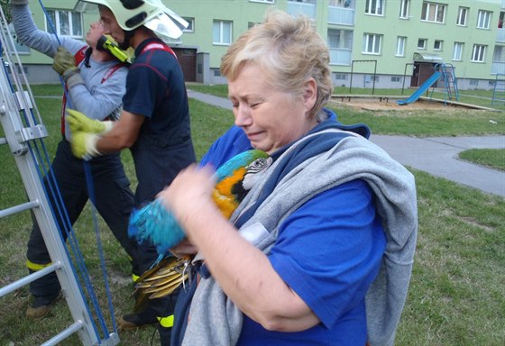 Šťastná majitelka se po zásahu hasičů znovu shledala se svým vzácným papouškem