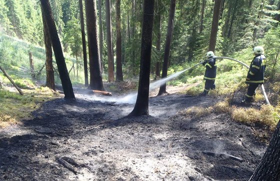 Na likvidaci pěti požárů lesní hrabanky v průběhu pouhých tří dnů se podíleli...