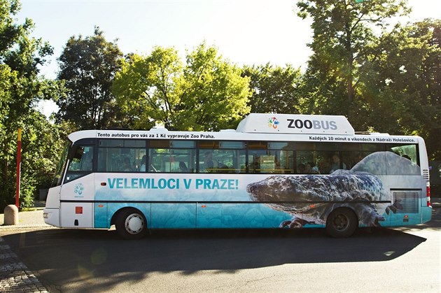 Dopravu do zoo v létě posílí v létě i oblíbený zoobus.