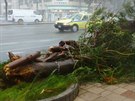 Strom se zlomil kvli silnému vtru v Okinaw, k Japonsku se blíí tajfun...