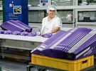 Americký potravináský koncern Mondelez staví v Opav novou továrnu. V esku...