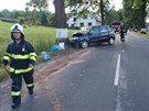 Renault boural v obci Horní Olenice na Trutnovsku do stromu.