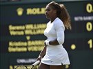 BOL M BICHO. Serena Williamsov se dr za bicho, zejm ji trp nevolnost.
