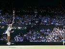 SERVIS NA CENTRU. Ped zraky divák na centrálním dvorci ve Wimbledonu podává...