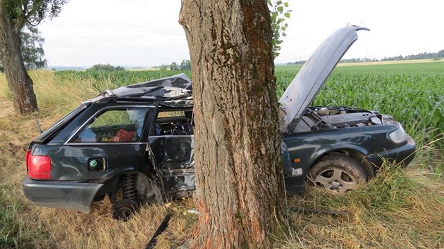 Řidič audi pravděpodobně nezvládl v pravotočivé zatáčce řízení a bočně narazil do stromu.