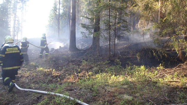 Na likvidaci pěti požárů lesní hrabanky v průběhu pouhých tří dnů se podíleli především hasiči z Rotavy a Kraslic.