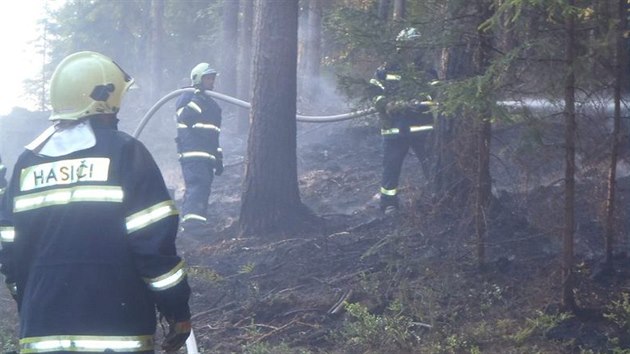 Na likvidaci pěti požárů lesní hrabanky v průběhu pouhých tří dnů se podíleli především hasiči z Rotavy a Kraslic.