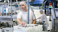 Americký potravináský koncern Mondelez staví v Opav novou továrnu. V esku...