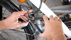 Ilustra�ní snímek