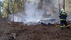 Na likvidaci pěti požárů lesní hrabanky v průběhu pouhých tří dnů se podíleli...
